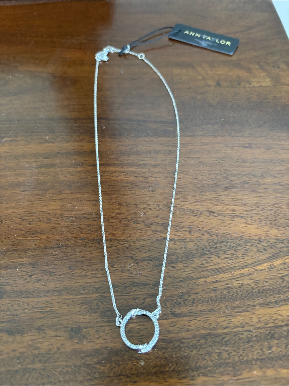 Ann Taylor Silver Pave Open Circle Necklace